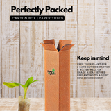 Granil Banana Fruit Live Plant (Home & Garden)