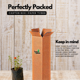 Pathumani Plant / Moss Rose / Portulaca / Ten o'clock flower Flowering Live Plant (Home & Garden)