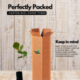 Palash / Flame Of The Forest (Butea Monosperma) Ornamental/Medicinal Live Plant (Home & Garden)