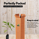 Elanji Plant / Spanish cherry / Maulsari Medicinal Live Plant Home & Garden