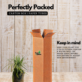 Mountain Grass - Ornamental Plant Live Plant (Home & Garden)