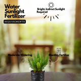 Foxtail Fern Live Plant | Asparagus Densiflorus ‘Myersii’ | Ornamental Green Foliage Plant for Home & Garden