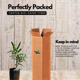 Flowering Plant Birth Star: Punartham (Plant: Yellow Arali / Nerium Oleander) Flowering / Ornamental Live Plant (H&G)