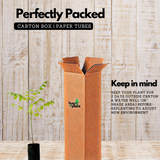 Star Gooseberry / Arinelli Fruit Live Plant (Home & Garden)