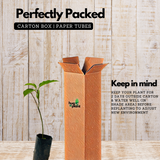 Passion Fruit Violet (Passiflora edulis) Fruit/Flowering/Ornamental Live Plant (Home & Garden)