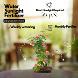 Powder Puff Red /Caliandra Red Live Plant (Home & Garden)