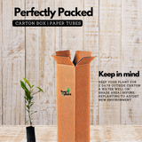 Birth Star : Rohini (Plant: Naval-Eugenia Jambolana|Syzygium Cuminii) (Home & Garden)