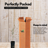 Shami Plant / Vanni Maram (Prosopis Cineraria) Ornamental/Medicinal Live Plant (Home & Garden)