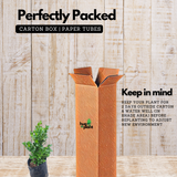 Boxwood Plant (Buxus) Live Plant | Evergreen Hedge & Topiary Plant | Outdoor Ornamental Live Plant (Home & Garden)