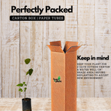 Malayalam Zodiac Sign (Rashi)– Dhanu (Sagittarius) Plant: Arayal (Ficus Religiosa) Live Plant (Home & Garden)