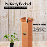 Water Pennywort (Hydrocotyle vulgaris) Aquatic Live Plant (Home & Garden)