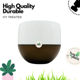 Hug A Plant Self-Watering Miniature Pot ƒ?? Mixed Colors for Home & Garden