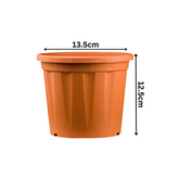 5 Inch Grower Plastic Pot Terracotta