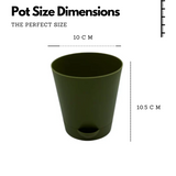 Krish Olivegreen plastic Planter Small for Home & Garden