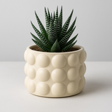 Designer Ceramic Pot (Matt Finish) for Home & Indoor Plant Decor