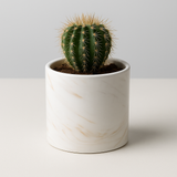 White Designer Ceramic Pot (Glossy Finish,Small) for Home & Indoor Plant Decor