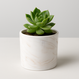 White Designer Ceramic Pot (Glossy Finish,Small) for Home & Indoor Plant Decor