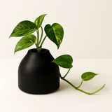 Designer Ceramic Pot (Matt Finish,Small) for Home & Indoor Plant Decor