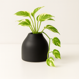 Designer Ceramic Pot (Matt Finish,Small) for Home & Indoor Plant Decor