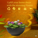 Lilly Rotomolded Pot for Home & Garden (Pack of 1)