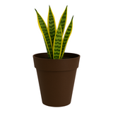 Rome Eco Series for Home & Garden (Pack of 1)