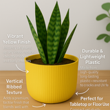 Hug a plant Ebizia Plastic Pot for Home & Garden (Pack of 1)