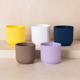 Ibiza 4 Inch Decorative Planters | Multicolour Planters | Ideal for Office, Home & Garden