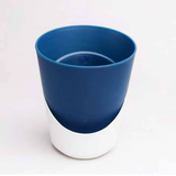 Atlantis Self-watering Plastic Pot for Home & Garden Decor