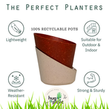 Hug A Plant Atlantis Eco Planter Small