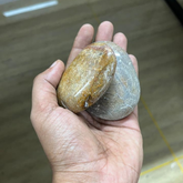 Polished River Pebbles for Decoration |Garden|Table|Terrariums| Home Decor|Vase Fillers