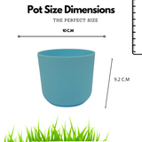 Hug a plant Ebizia Plastic Pot for Home & Garden (Pack of 1)