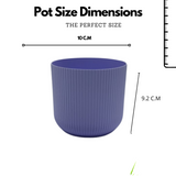 Hug a plant Ebizia Plastic Pot for Home & Garden (Pack of 1)