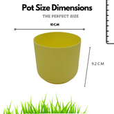 Hug a plant Ebizia Plastic Pot  for Home & Garden (Pack of 1)