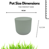 Hug a plant Ebizia Plastic Pot for Home & Garden (Pack of 1)