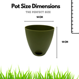 Hug A Plant | Smart Aqua for Home & Garden