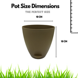 Hug A Plant | Smart Aqua for Home & Garden
