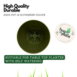 Hug A Plant | Smart Aqua for Home & Garden