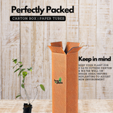 Orila Plant (Desmodium gangeticum) | Ayurvedic Medicinal Live Plant | Traditional Herbal Live Plant for Home & Garden