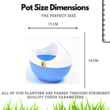 Hug A Plant | ORB Self watering Pot for Home & Garden