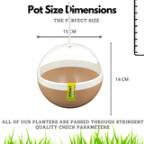 Hug A Plant | Saturn Pot for Home & Garden