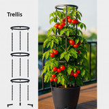 Krish Self Watering Plastic Pot With Trellis