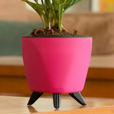 Lagos 13cm Round Plastic Pot for Home & Garden Decor