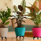 Lagos 13cm Round Plastic Pot for Home & Garden Decor