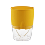 Lobello Selfwatering Pot