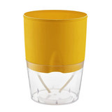 Lobello Selfwatering Pot