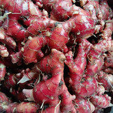 Red Ginger Rhizome / Chuvanna Inchi