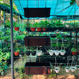 Uri Reca 40 - 3 Tier Hanging With Pot