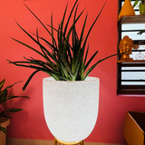 Milano 40cm Led Round Plastic Pot with Wheels for Home & Garden (40CM | 15.7 INCH, White Stone Finish)