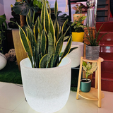 Milano 50cm Led Round Plastic Pot with Wheels for Home & Garden (50CM | 19.6 INCH, White Stone Finish)