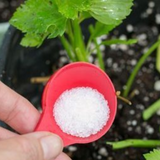 Hug A Plant Epsom Salt